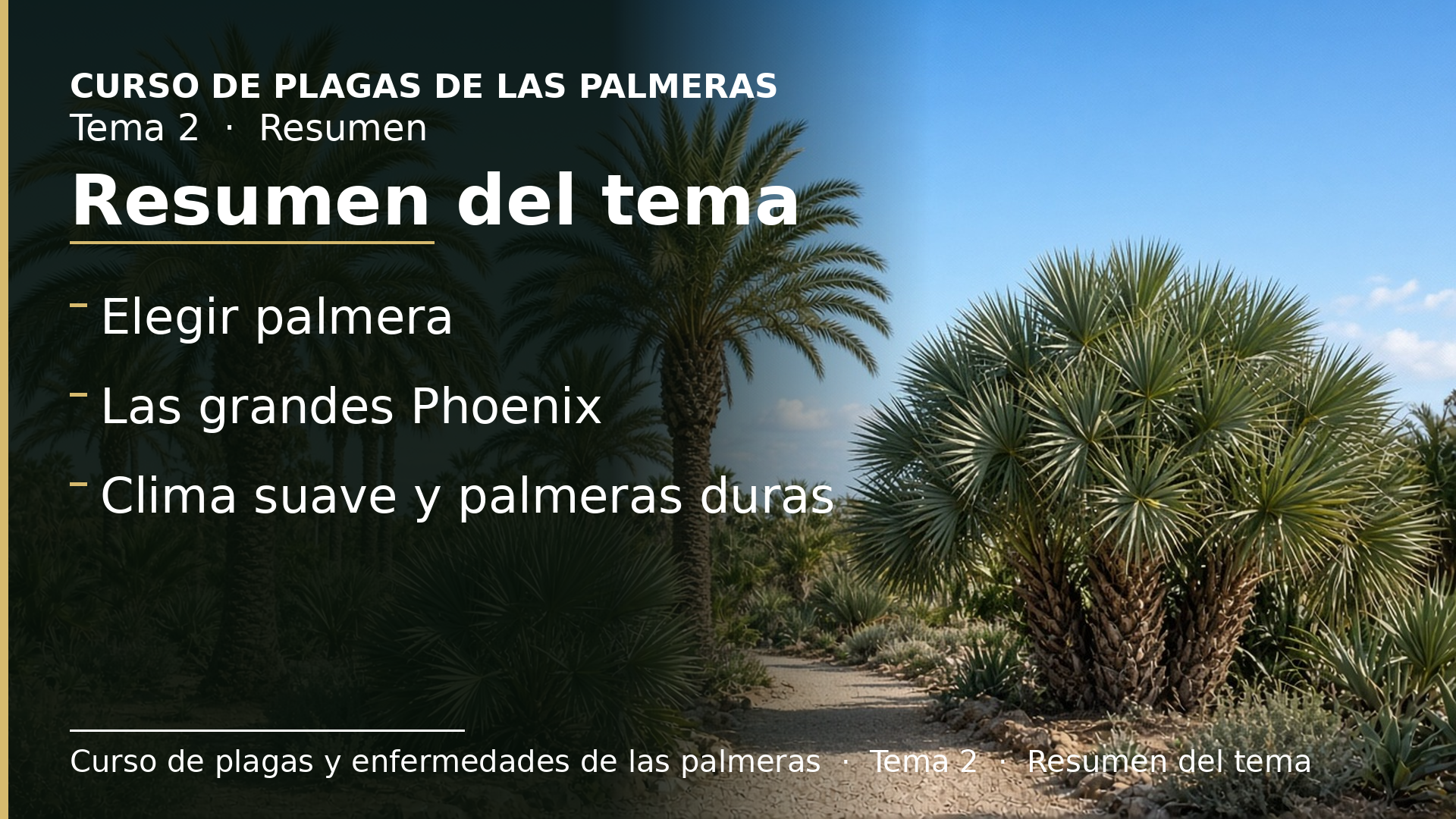 Diapositiva del resumen: Resumen del tema