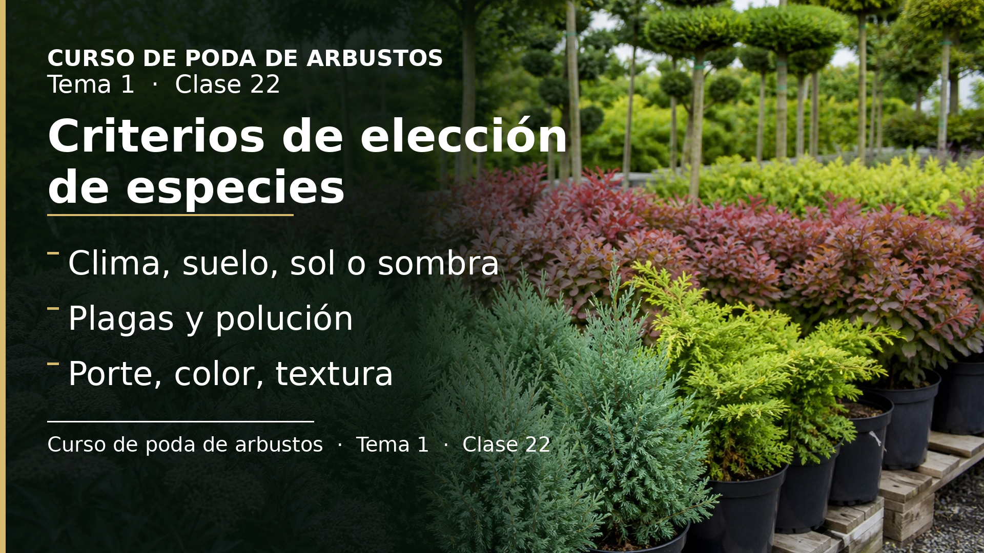 Diapositiva de la clase 22: Criterios de elección de especies
