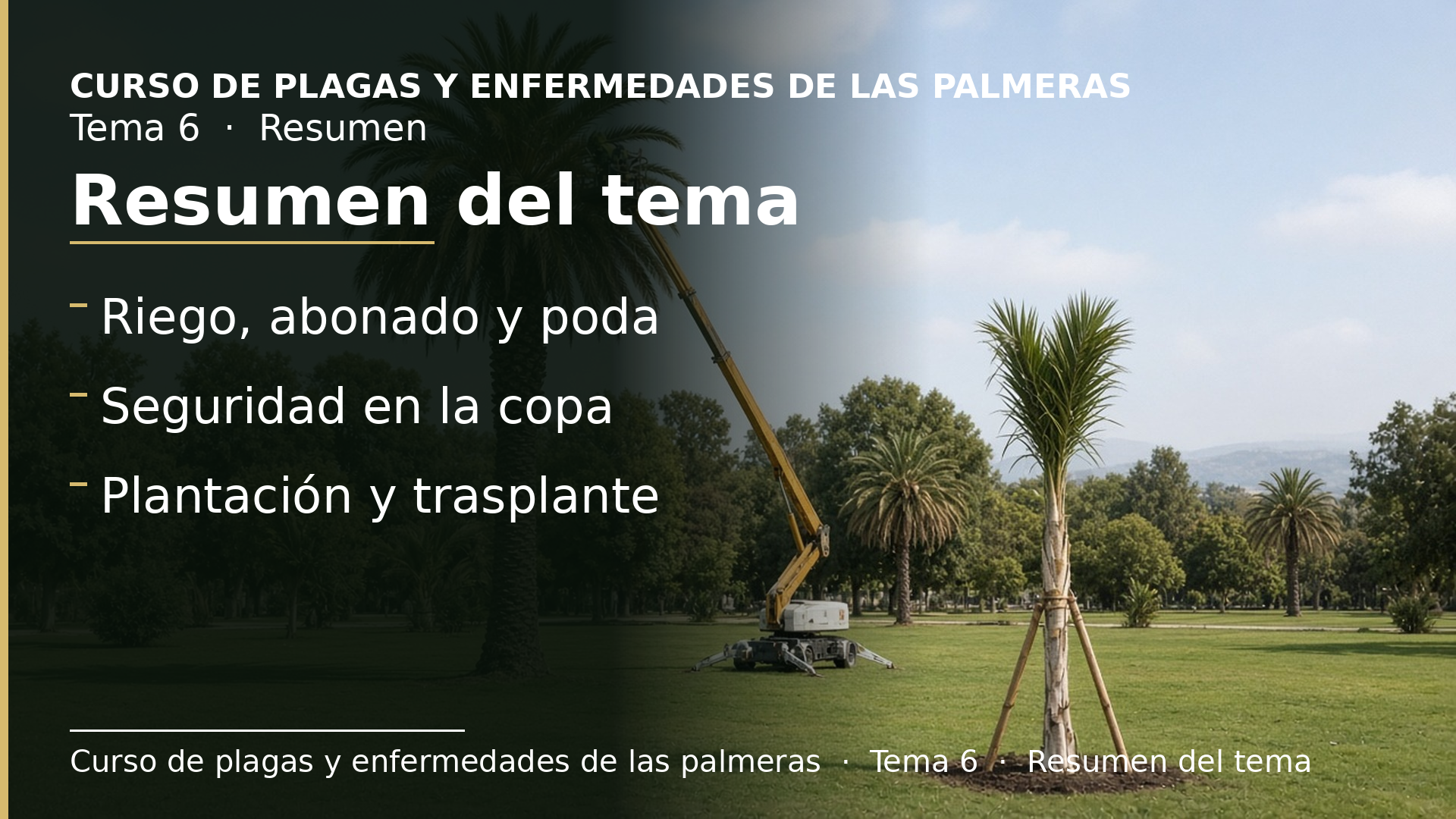 Diapositiva del resumen: Resumen del tema