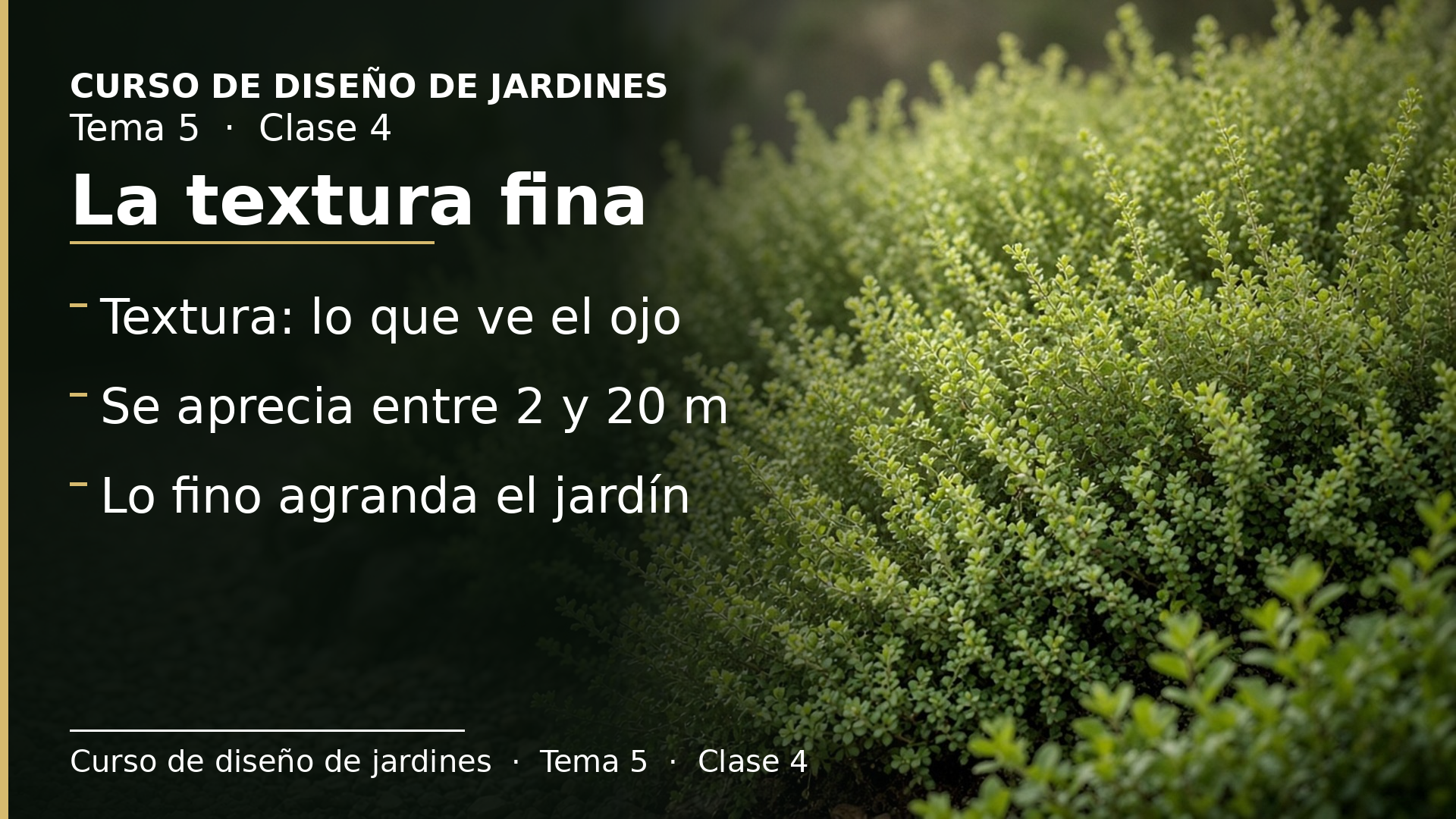 Diapositiva de la clase 4: Textura (I): qué es y la textura fina