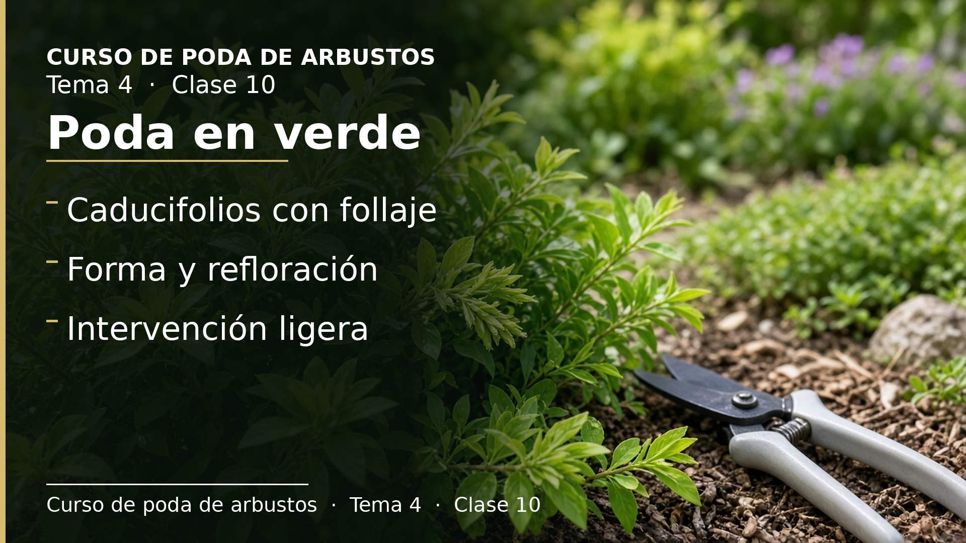 Diapositiva de la clase 10: Poda en verde