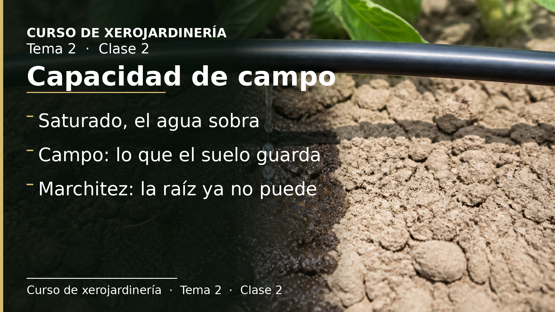 Diapositiva de la clase 2: Capacidad de campo