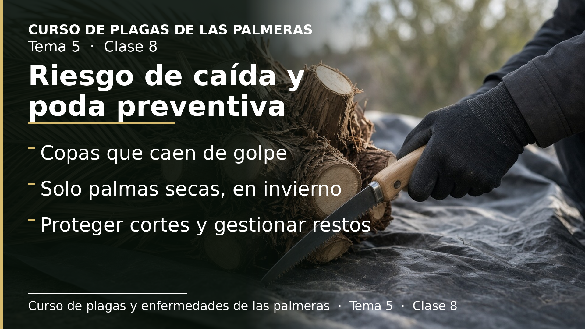 Diapositiva de la clase 8: Riesgo de caída y poda preventiva