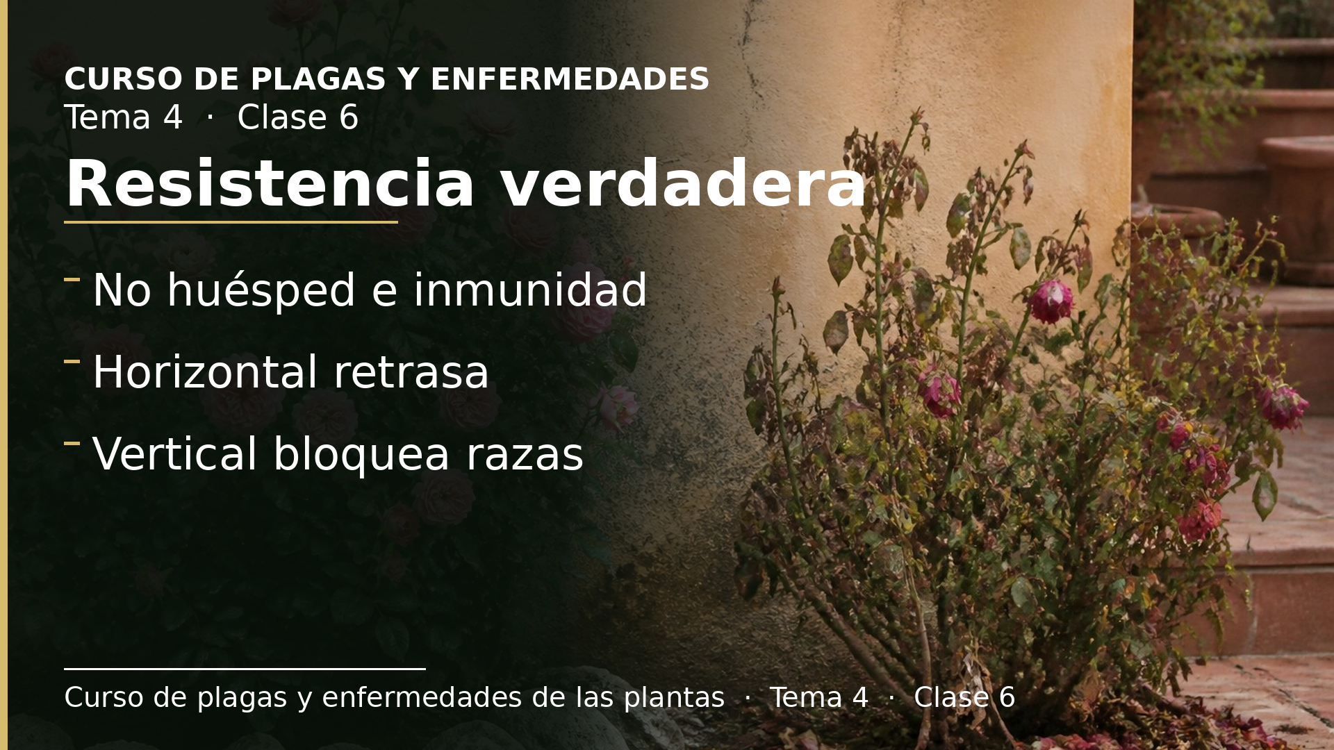 Diapositiva de la clase 6: Genética y resistencia verdadera