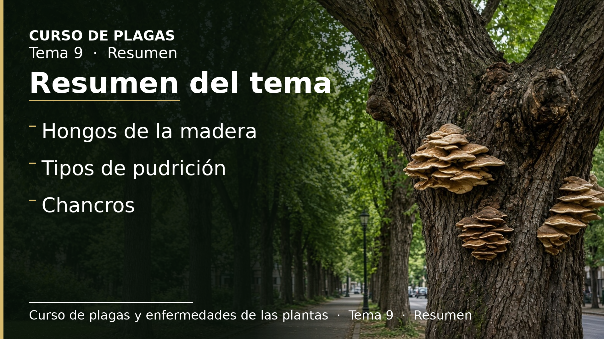 Diapositiva del resumen: Resumen del tema